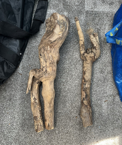 Natural driftwood branch - driftwood,
