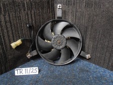 Honda CBR100 XX Blackbird