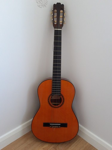 Vintage harmony string - vintage, 6