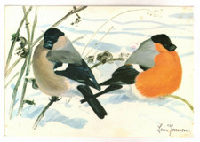 1982 Art PC: Bull Finch