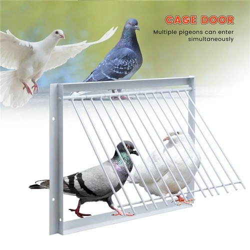 Removable pigeon entrance - pigeon,