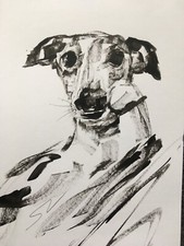 Original signed Ink sketch painting of a Whippet Greyhound Lurcher A4 approx.