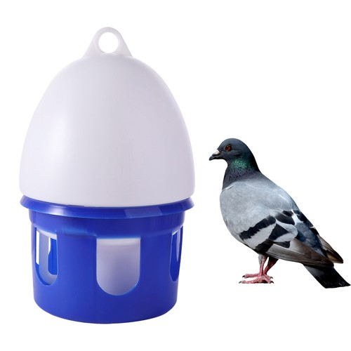 Automatic bird pigeons feeder - bird,