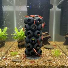Shrimp Breeding Tower Cave –
