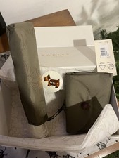 Radley Green Gypsophila