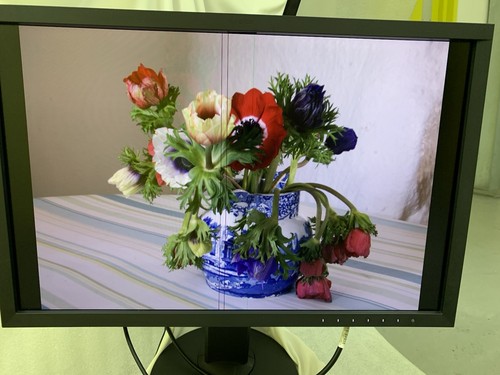 Eizo coloredge cg247 - coloredge,