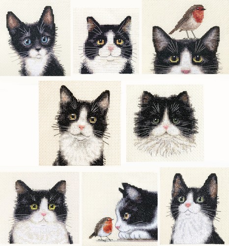 Black white tuxedo cat - &,