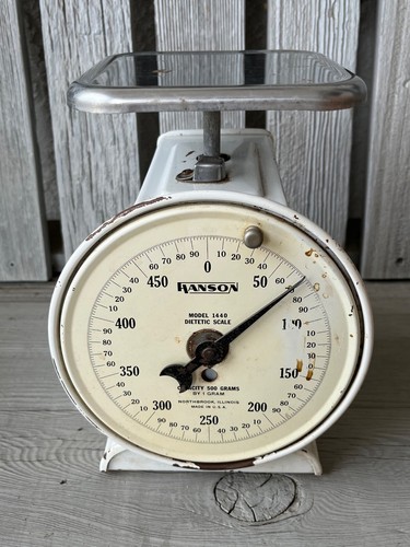 Vtg hanson dietetic 500 - hanson,