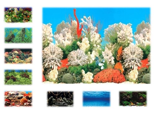 Aquarium vivarium plastic - aquarium, /vivarium