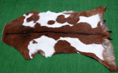 Luxury goat hide - goat, hair