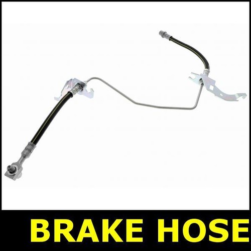 Brake hose rear - brake, left