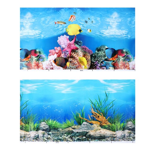 Fish tank backing paper - ,