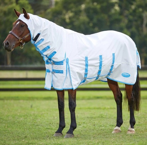 Weatherbeeta sweet itch - itch, shield