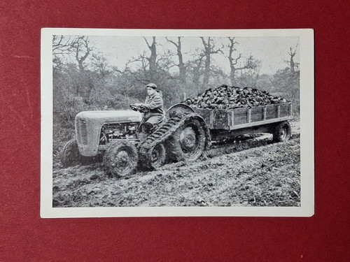 Standardise with ferguson - 'standardise, ferguson'