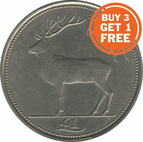 Ireland one pound - pound, 1