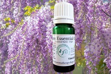 Wisteria Essential Oil /