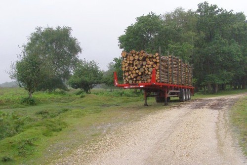 Photo 6x4 timber - timber, trailer