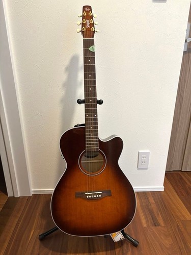 Seagull electric acoustic