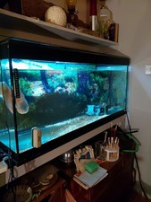 Large Glass Fish Tank Aquarium