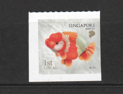 Singapore 2020 goldfish - singapore, 1st