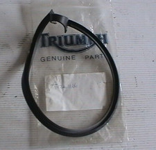 T1261166 TRIUMPH ENGINE COVER