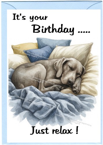 Weimaraner dog - weimaraner, (4"x