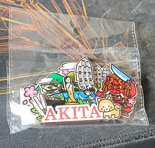 Akita magnet souvenir - akita,