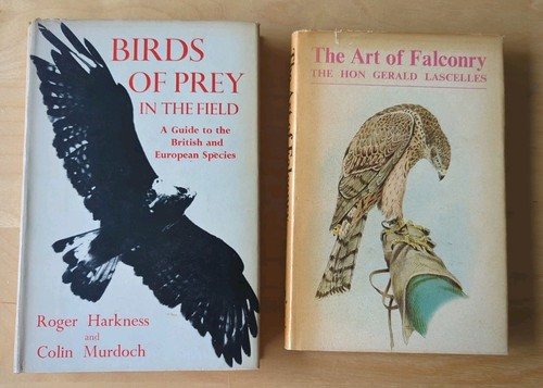 Rare vintage falconry - vintage,