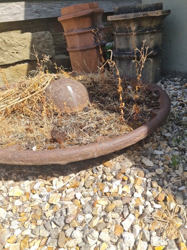 Vintage mexican hat - mexican, trough