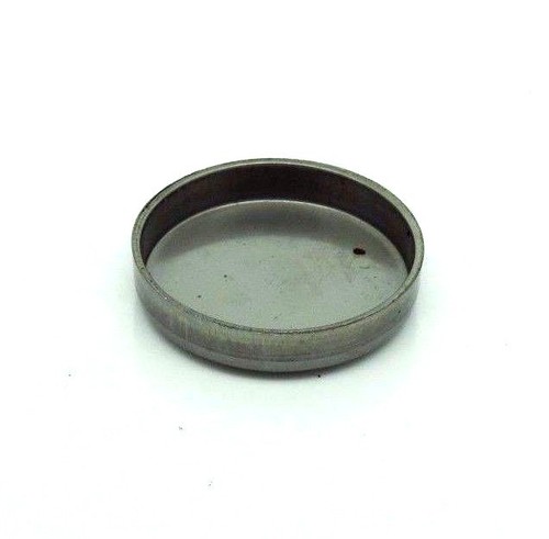 Stainless steel core plug - steel, for