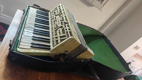 Vintage hohner verdi - hohner,
