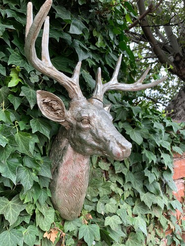 Large size animal skull - animal,
