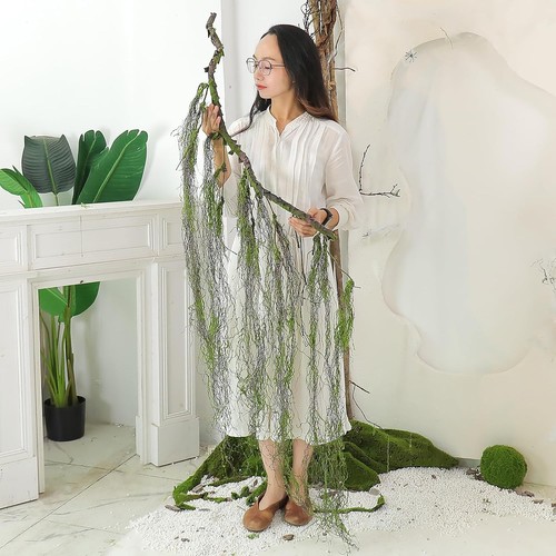 Curly weeping willow vine - 63",