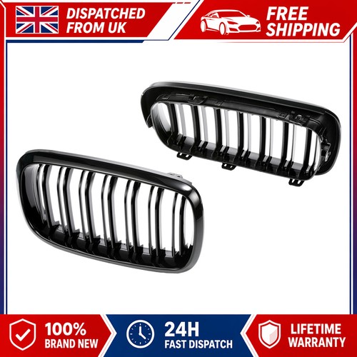 Kidney grille gloss - grille, for