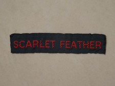 Scarlet Feather Cub Scout Name