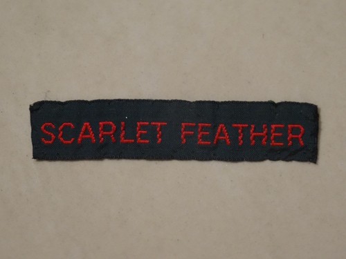 Scarlet feather cub - scarlet, name