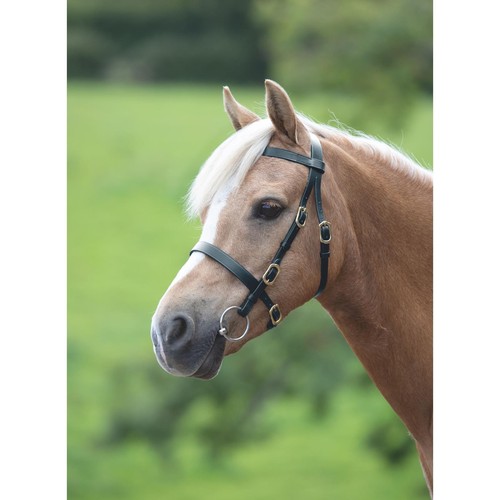 Shires velociti gara plain - velociti,