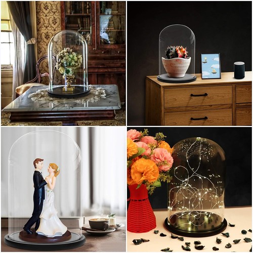 Belle vous glass dome - vous, cloche