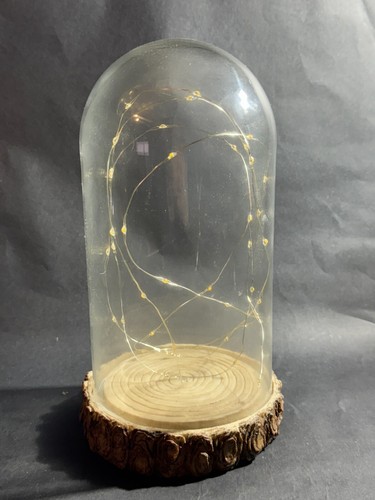Aldi stores glass - stores, light