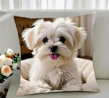Bichon Frise Cushion Cover 2D