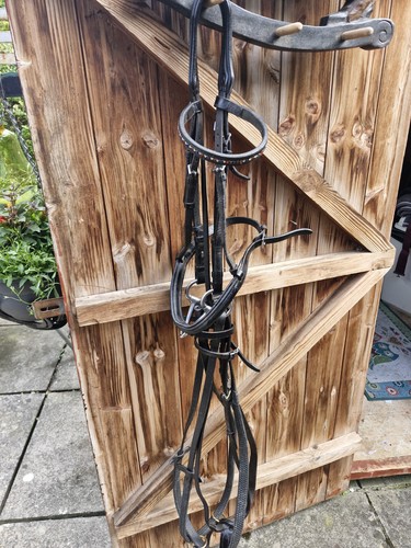 English cob size - cob, bridle
