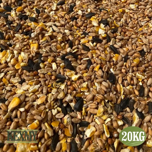 Wild bird seed mixture - seed,