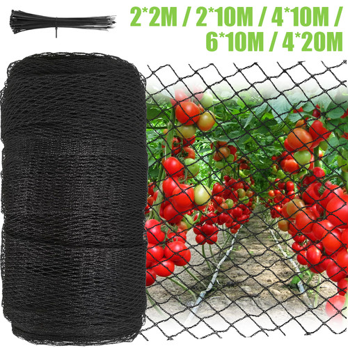 Anti bird netting 6m 10m - 2m,