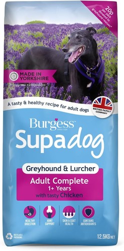 Burgess supadog greyhound - burgess,