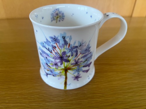 Dunoon agapanthus fine bone - agapanthus,