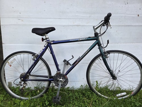 Vintage giant iguana - vintage,