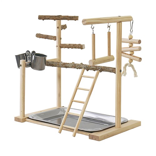 Parrot playstand bird - playstand,