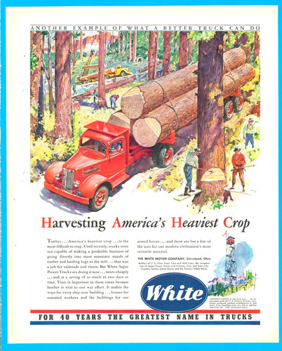 White truck cleveland lumber - truck,