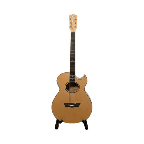 Washburn ea20 - washburn, ea20-a