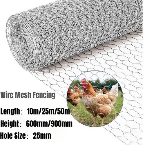 Chicken wire mesh fencing - chicken,
